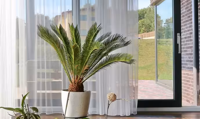 Stumdomos terasos durys ir stumdomi langai