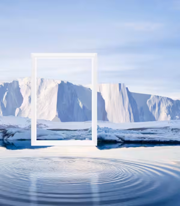 White windows to meet the highest demands