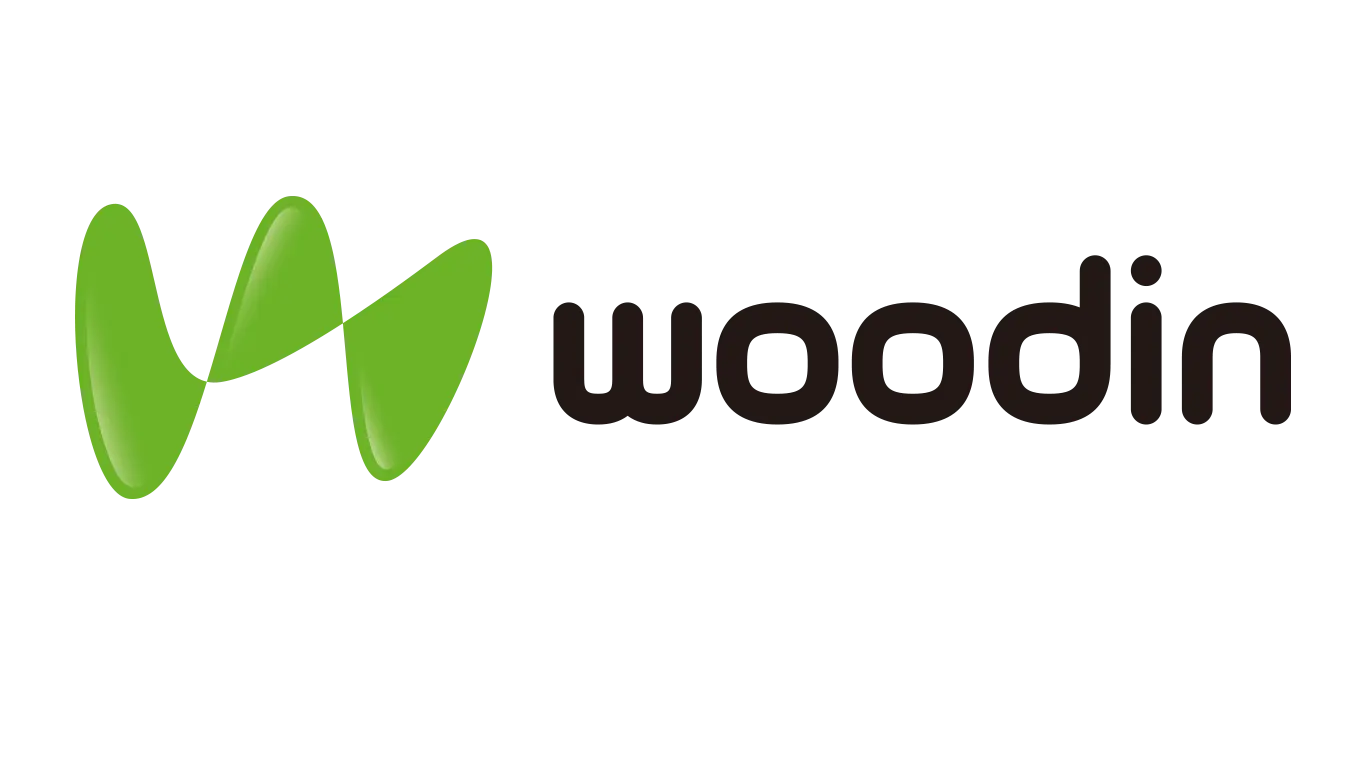 woodin_BI_eng-image.png
